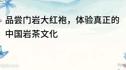 品嘗門巖大紅袍，體驗真正的中國巖茶文化