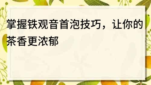 掌握鐵觀音首泡技巧，讓你的茶香更濃郁