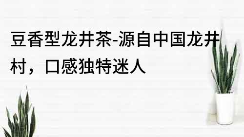 豆香型龍井茶-源自中國龍井村，口感獨特迷人