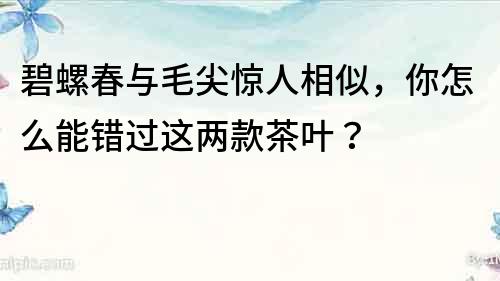 碧螺春與毛尖驚人相似，你怎么能錯過這兩款茶葉？