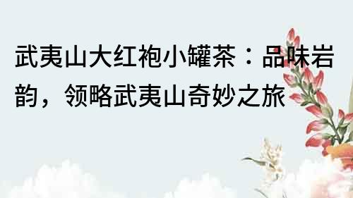 武夷山大紅袍小罐茶：品味巖韻，領(lǐng)略武夷山奇妙之旅