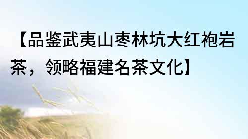 【品鑒武夷山棗林坑大紅袍巖茶，領略福建名茶文化】