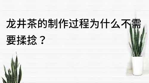 龍井茶的制作過程為什么不需要揉捻？
