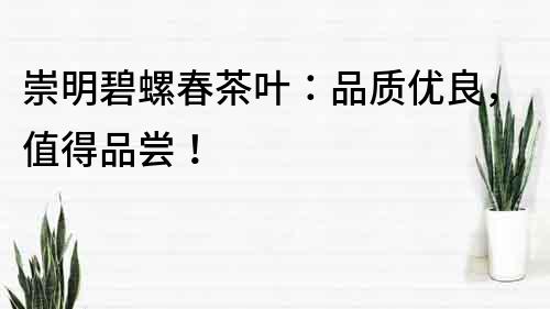 崇明碧螺春茶葉：品質優良，值得品嘗！