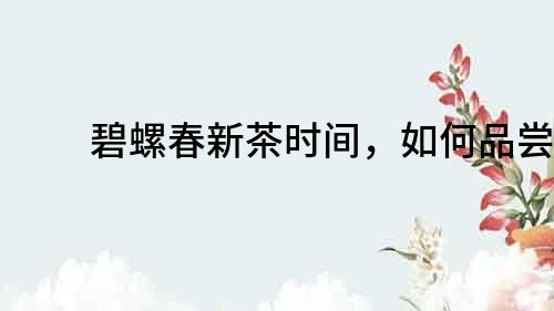 碧螺春新茶時間，如何品嘗？
