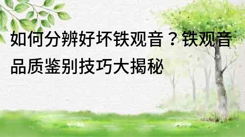 如何分辨好壞鐵觀音？鐵觀音品質(zhì)鑒別技巧大揭秘