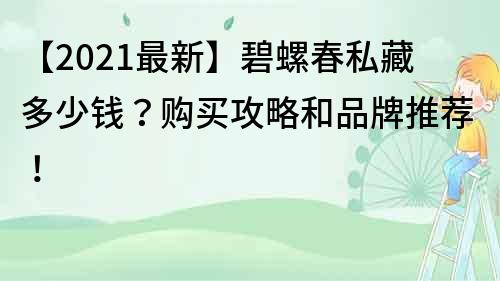 【2021最新】碧螺春私藏多少錢？購買攻略和品牌推薦！