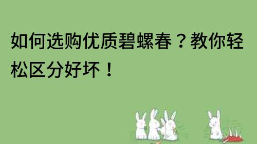 如何選購(gòu)優(yōu)質(zhì)碧螺春？教你輕松區(qū)分好壞！