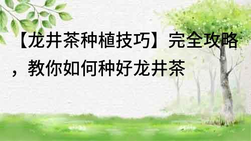 【龍井茶種植技巧】完全攻略，教你如何種好龍井茶