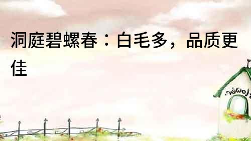 洞庭碧螺春：白毛多，品質更佳
