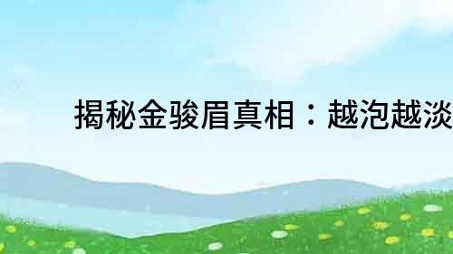 揭秘金駿眉真相：越泡越淡？