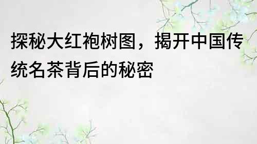 探秘大紅袍樹圖，揭開中國傳統名茶背后的秘密