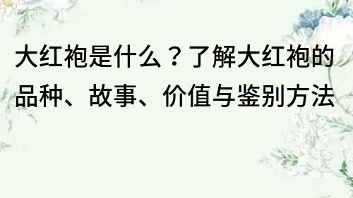 大紅袍是什么？了解大紅袍的品種、故事、價值與鑒別方法