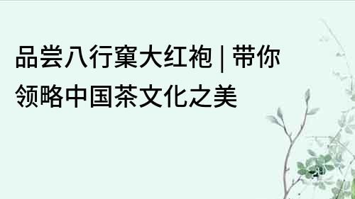 品嘗八行窠大紅袍 | 帶你領略中國茶文化之美