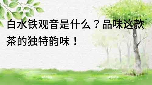 白水鐵觀音是什么？品味這款茶的獨(dú)特韻味！