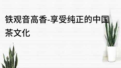 鐵觀音高香-享受純正的中國茶文化