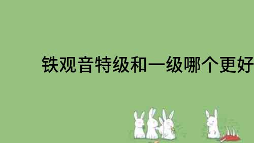 鐵觀音特級和一級哪個更好？