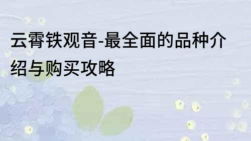 云霄鐵觀音-最全面的品種介紹與購買攻略
