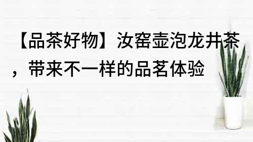 【品茶好物】汝窯壺泡龍井茶，帶來不一樣的品茗體驗