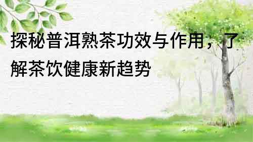 探秘普洱熟茶功效與作用，了解茶飲健康新趨勢
