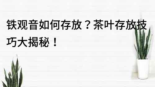 鐵觀音如何存放？茶葉存放技巧大揭秘！