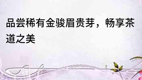 品嘗稀有金駿眉貴芽，暢享茶道之美