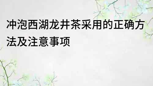 沖泡西湖龍井茶采用的正確方法及注意事項