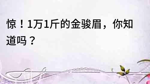 驚！1萬1斤的金駿眉，你知道嗎？
