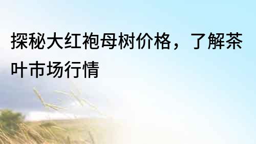 探秘大紅袍母樹價格，了解茶葉市場行情