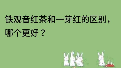鐵觀音紅茶和一芽紅的區別，哪個更好？