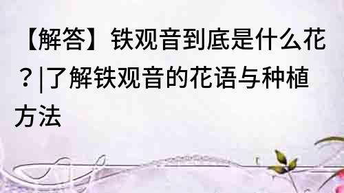 【解答】鐵觀音到底是什么花？|了解鐵觀音的花語與種植方法