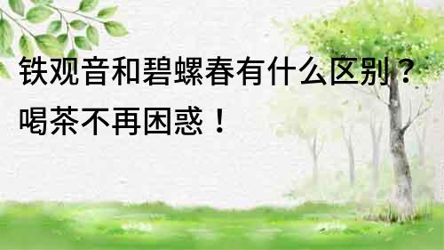 鐵觀音和碧螺春有什么區別？喝茶不再困惑！