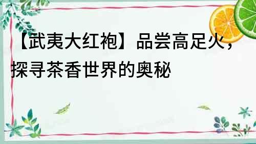【武夷大紅袍】品嘗高足火，探尋茶香世界的奧秘