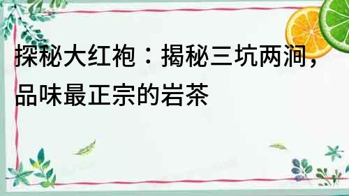 探秘大紅袍：揭秘三坑兩澗，品味最正宗的巖茶