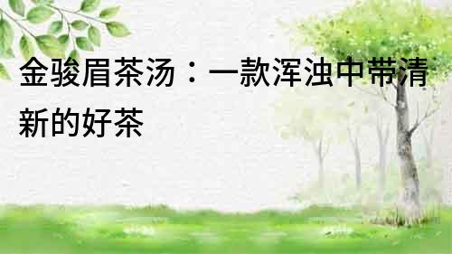 金駿眉茶湯：一款渾濁中帶清新的好茶