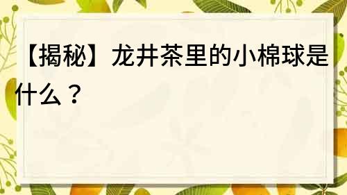 【揭秘】龍井茶里的小棉球是什么？
