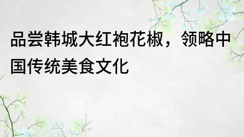 品嘗韓城大紅袍花椒，領略中國傳統美食文化