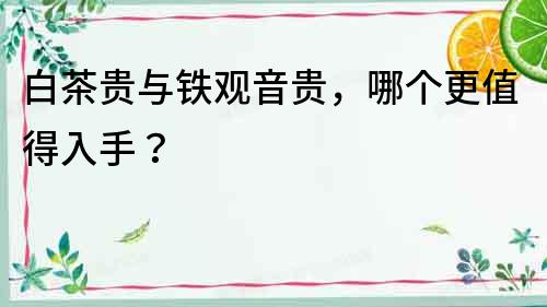 白茶貴與鐵觀音貴，哪個更值得入手？