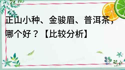 正山小種、金駿眉、普洱茶，哪個好？【比較分析】