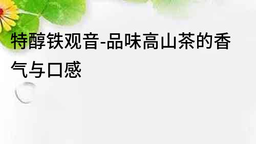 特醇鐵觀音-品味高山茶的香氣與口感