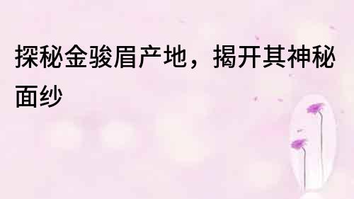 探秘金駿眉產地，揭開其神秘面紗