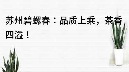 蘇州碧螺春：品質(zhì)上乘，茶香四溢！