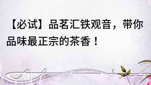 【必試】品茗匯鐵觀音，帶你品味最正宗的茶香！