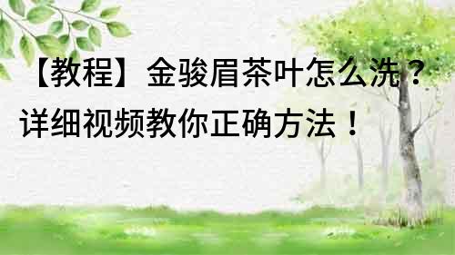 【教程】金駿眉茶葉怎么洗？詳細視頻教你正確方法！