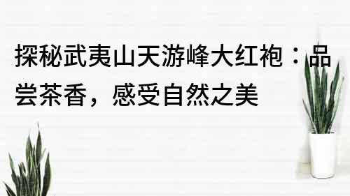 探秘武夷山天游峰大紅袍：品嘗茶香，感受自然之美