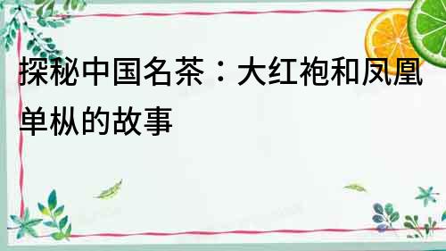 探秘中國名茶：大紅袍和鳳凰單樅的故事