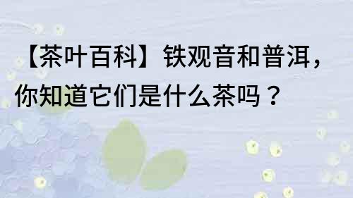 【茶葉百科】鐵觀音和普洱，你知道它們是什么茶嗎？