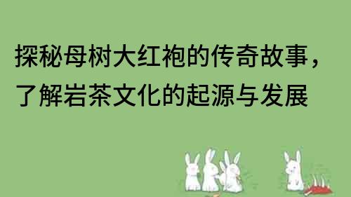 探秘母樹大紅袍的傳奇故事，了解巖茶文化的起源與發(fā)展