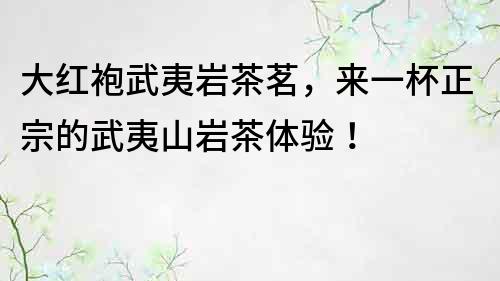 大紅袍武夷巖茶茗，來一杯正宗的武夷山巖茶體驗！