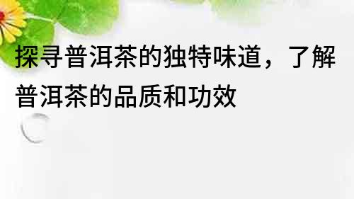 探尋普洱茶的獨特味道，了解普洱茶的品質和功效